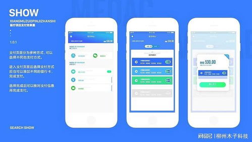 App开发过程中应当注意的关键环节